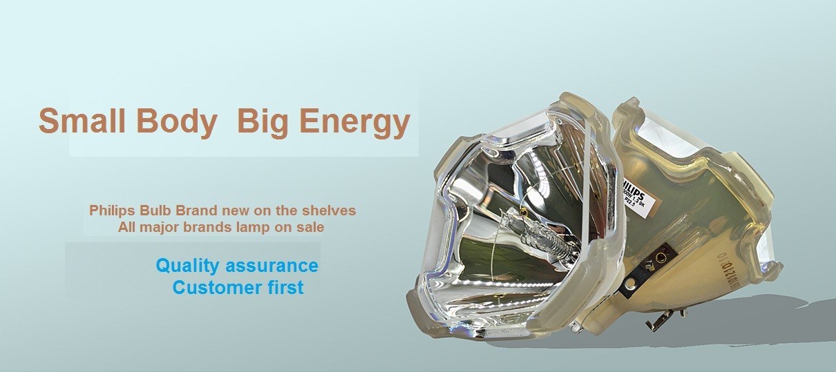 kwaliteit Projectorenbollen fabriek