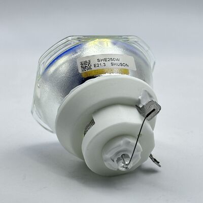 Projectorlampen van het merk Shusen, compatibel met Epson ELPLP85, ELPLP89 en ELPLP91 (SHE250W, E21.3)